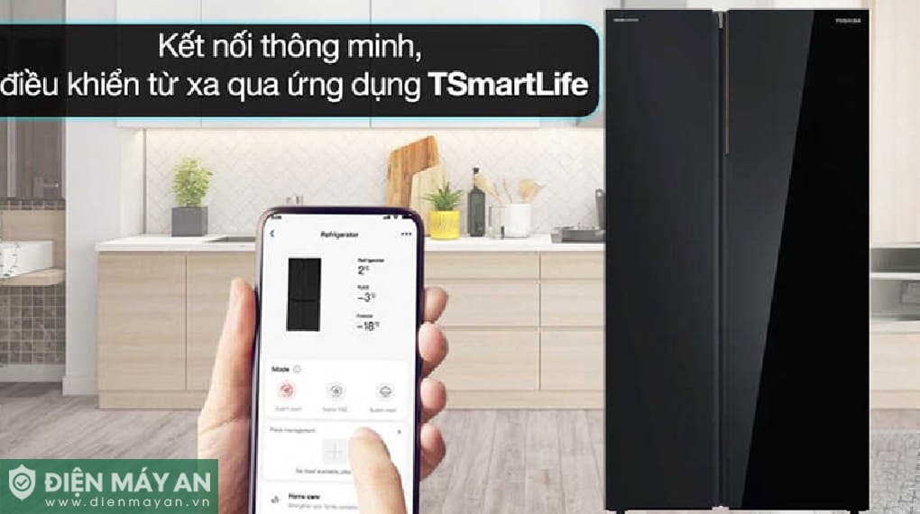 Tủ lạnh Toshiba Inverter 711 lít Side By Side GR-RS905WIA-PGV(22)-XK